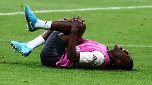 新奥尔良鹈 新奥尔良鹈